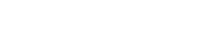 Mary Lou and Arthur F Mahone Foundation